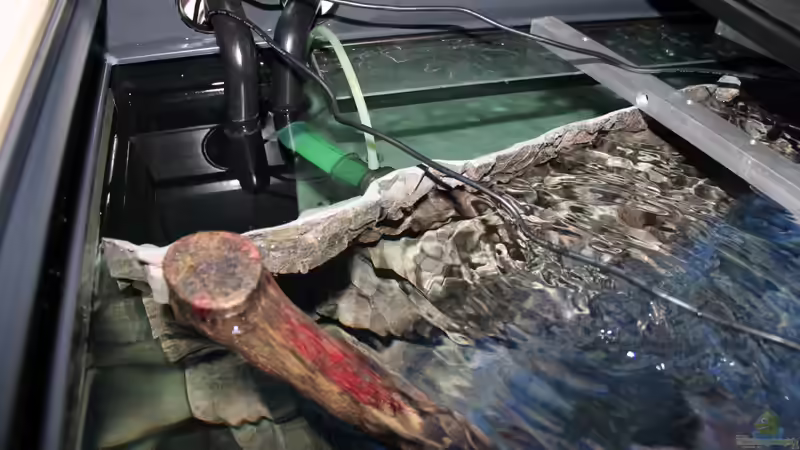 JBL e 1501 Auslass  von Sebastian O. (41)