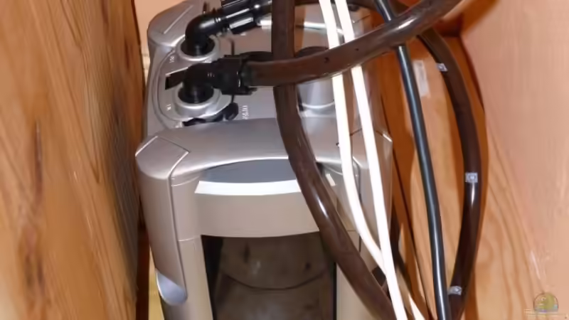 JBL e 700 - gedrosselt von Bunter Fisch (18)