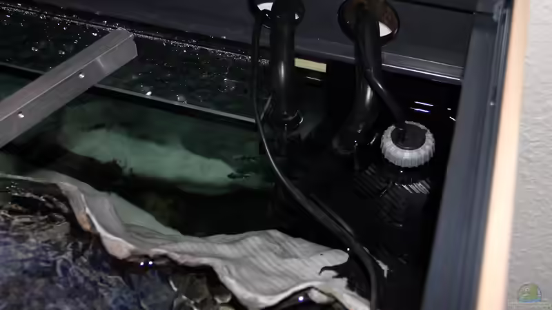 JBL e 900 Auslass hinter der Rückwand und JBL ProTemp 300 Heizer von Sebastian O. (42)