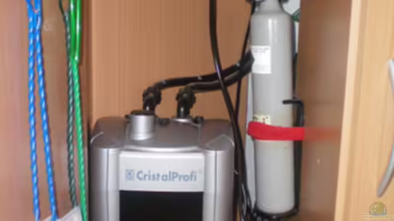 JBL e 900 und Sera Co2 von Thomas Ahrens (14)