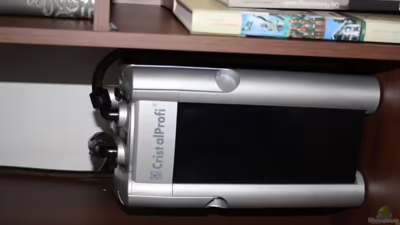 Jbl e900    900 l/h von Chriiise (4)