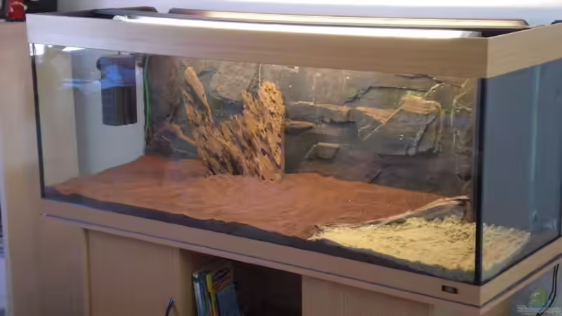 JBL Manado mit Sandecke von Misterdaddy (11)