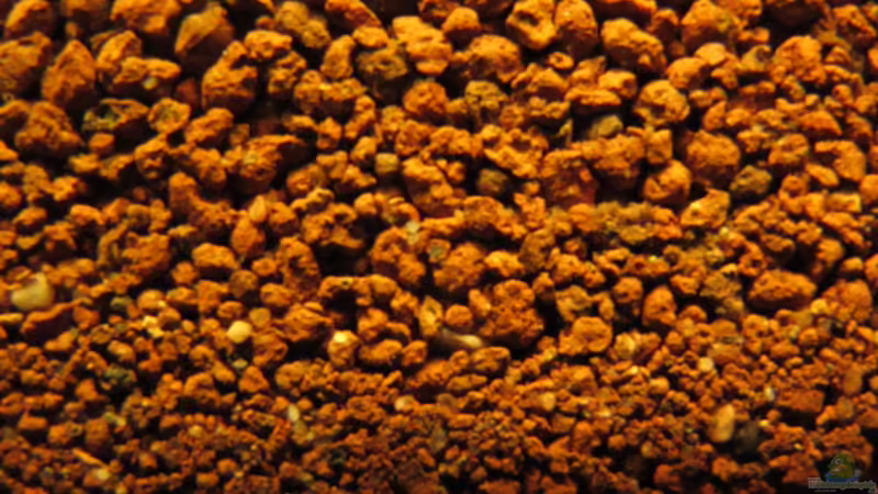 JBL Manado von Locke1992 (17)