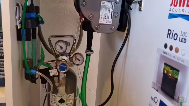 JBL PROCRISTAL UV-C Compact plus 11 W von Peter Peter (83)