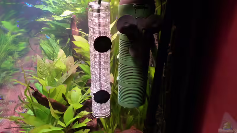 JBL ProFlora Taifun Reaktor von Dieter (56)