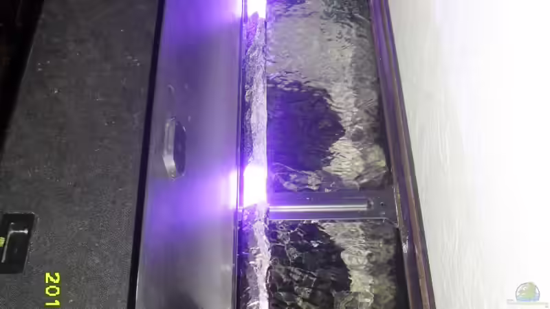 JBL Solar Marin Blue (hinten) abgedunkelt von Cichlidenfan (5)