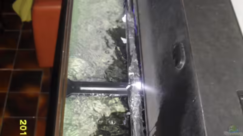 JBL Solar Marin Day (vorne) abgedunkelt von Cichlidenfan (4)