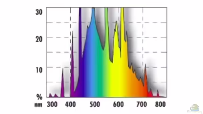 JBL solar natur 9000K von Jonathan Helbig (11)