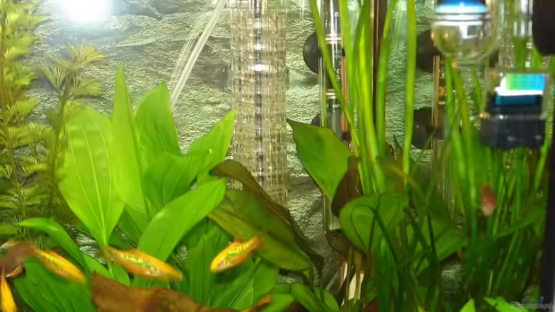 JBL Taifun 190mm von *Thorsten* (19)