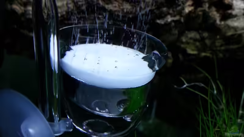 JBL Taifun von Marcel Reiter (21)