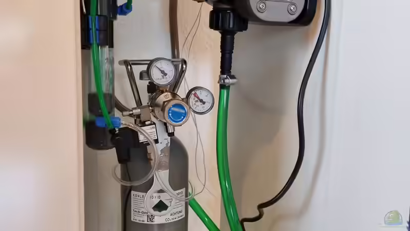 JBL UV-C Compact plus von Peter Peter (82)