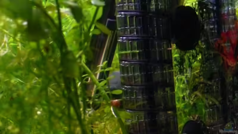 JBL Vario Diffusor von Bunter Fisch (20)