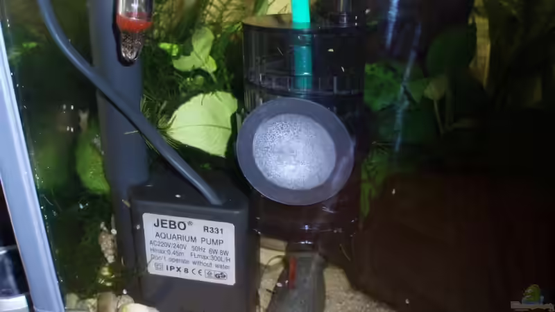 Jebo Pumpe und Flipper von Der Engländer (11)