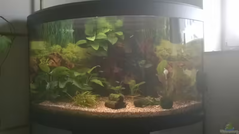 jeder fängt mal an von Dieter Pr (2)