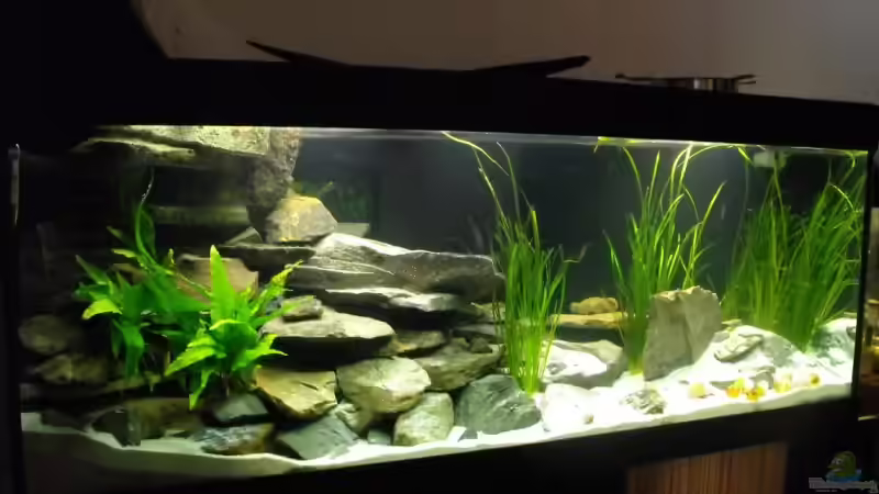 Jetzt... von -serok- (4)