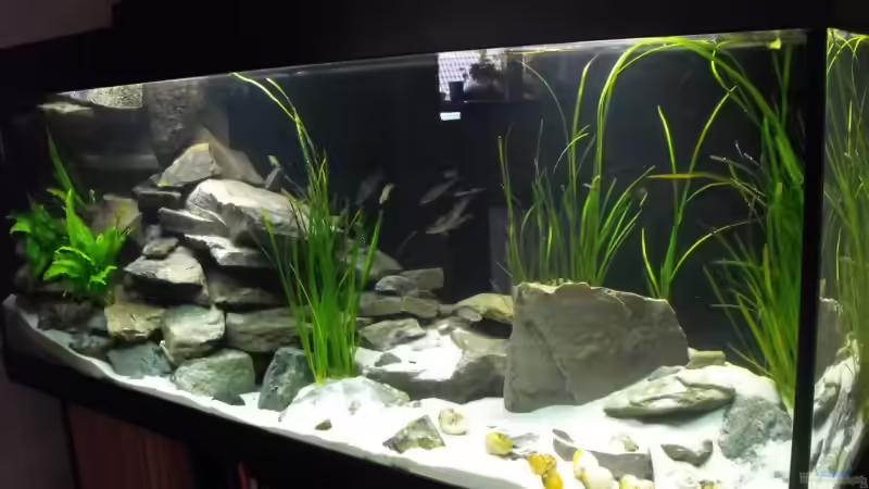 Jetzt... von -serok- (5)