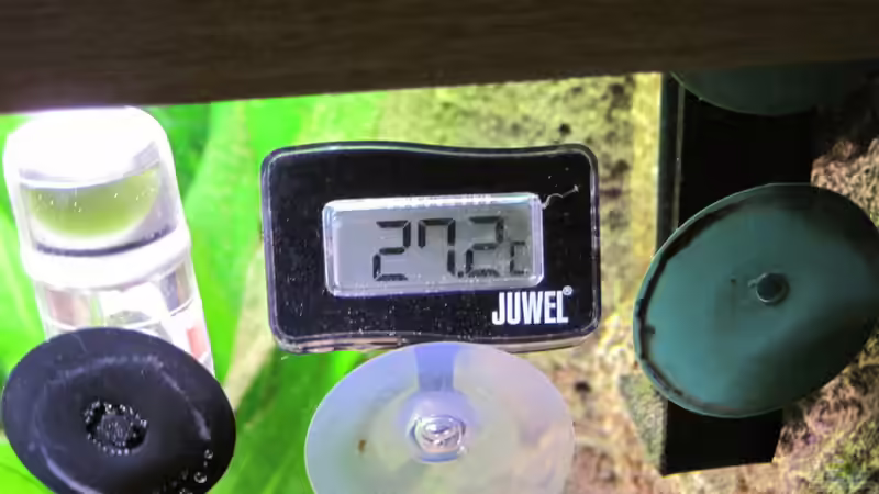 Jetzt aber Digital 09.01.2011 von Jogi (31)