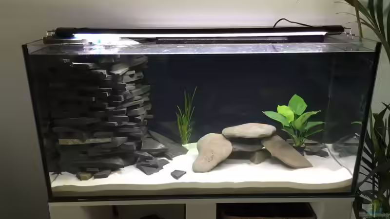 Jetzt fehlen nur noch die Fische von stroelly (5)