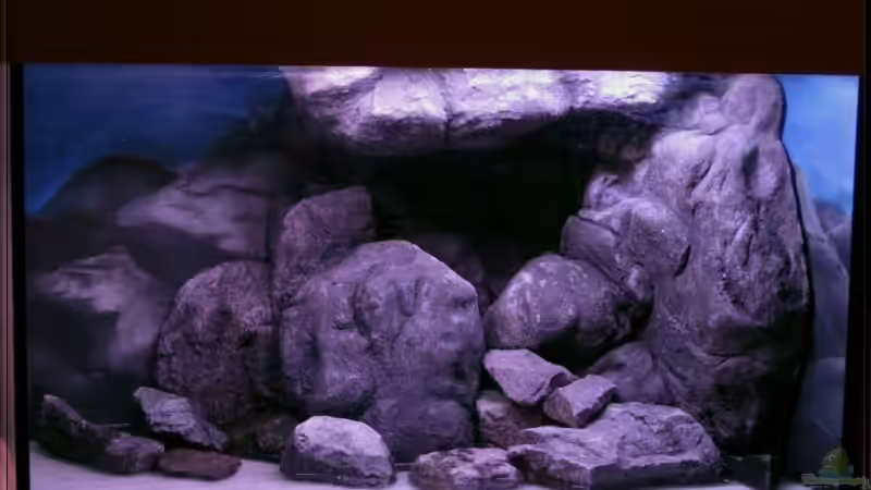 jetzt fehlt nur noch Sand und Wasser von Pütti (14)