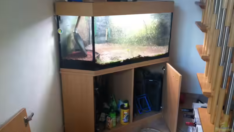 Jetzt gehts ans sauber machen!  von Ecky (2)