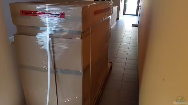 Jetzt gehts los von Charmin (2)