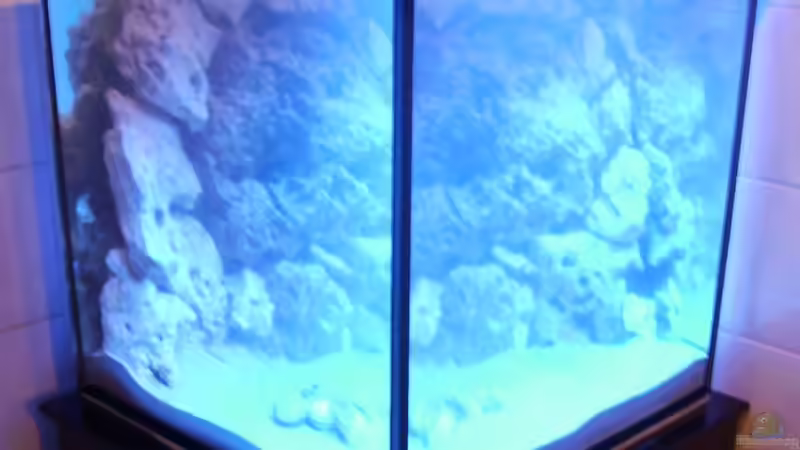 Jetzt ist schon was zu sehen. von PeterH (7)