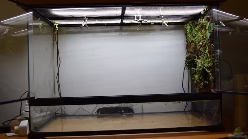 Jetzt kanns losgehen von Junglist (6)