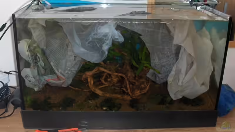 Jetzt kommt der große Moment! von Zebraschneggla (7)