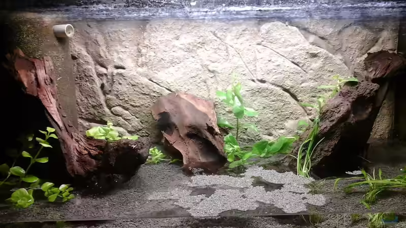 jetzt kommt die Flut ;-) von Ulf (3)