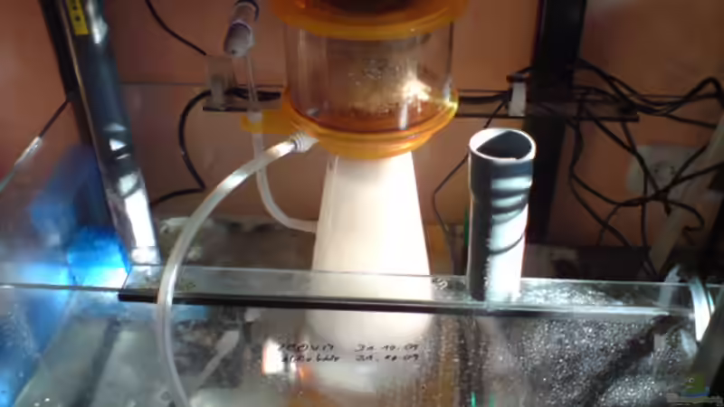 Jetzt KZ Revo S ,zuvor H&S 150 - Kein vergleich :) von Daniel Reichl (18)