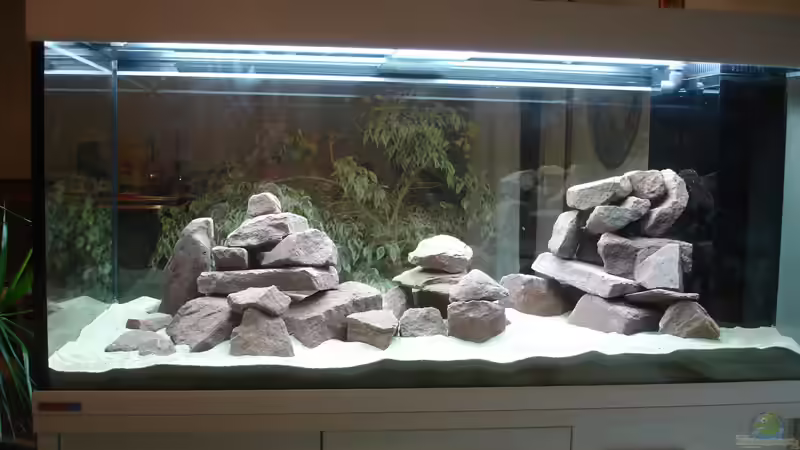 Jetzt mit Sand von Roadrunner 68 (8)