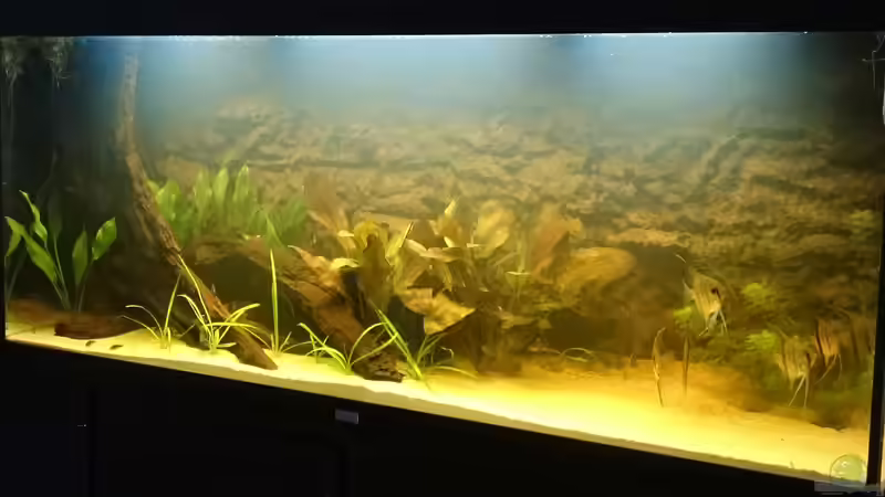 Jetzt mit Schwarzwasser 2 von DennisTheMenis (7)