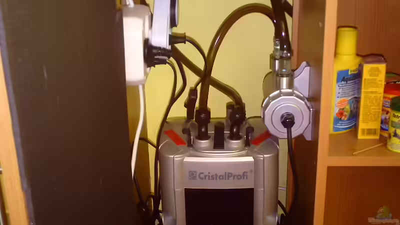 jetzt mit UV-C klärer 08,09,2011 von Klumpen (19)