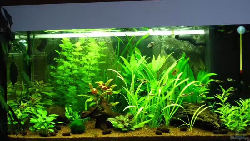 Jetzt mit Wasserfärbung von matze81 (8)