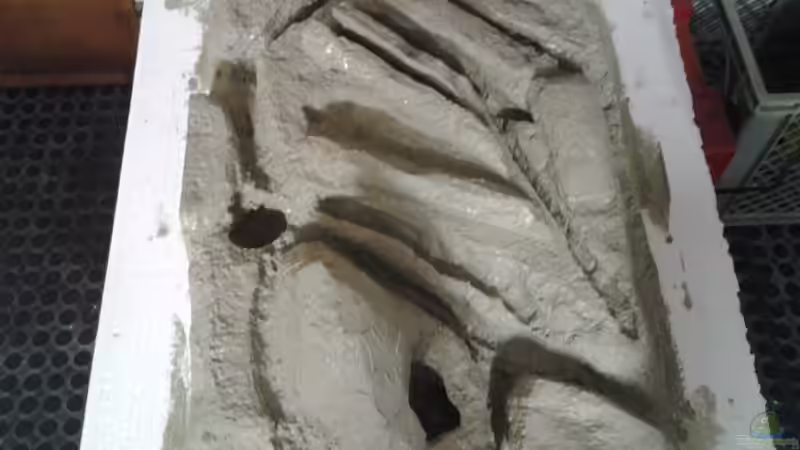 jetzt muss es trocknen von brokhauser (21)