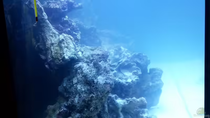 Jetzt sind alle Steine im Becken zusätzlich musste ich noch 24 kg einsetzen jetzt von urbi (58)