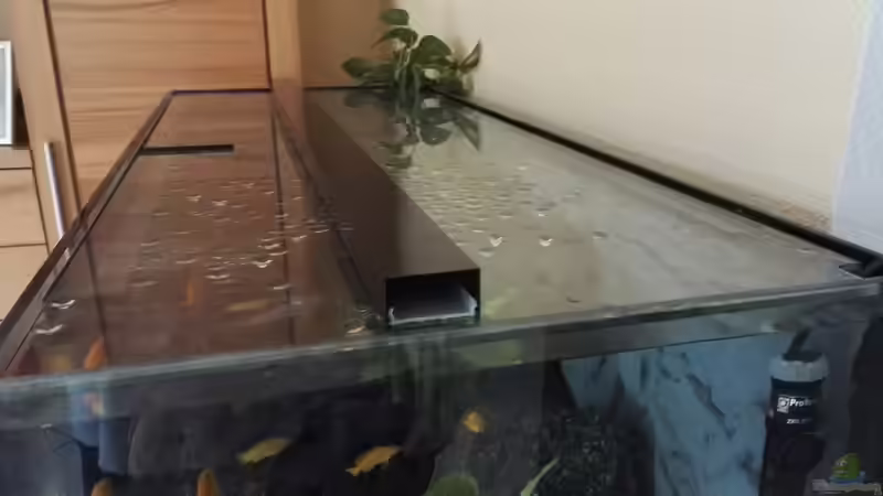 Jetzt Verbundglas, schon ganz was anderes  von Guido Studtrucker (17)