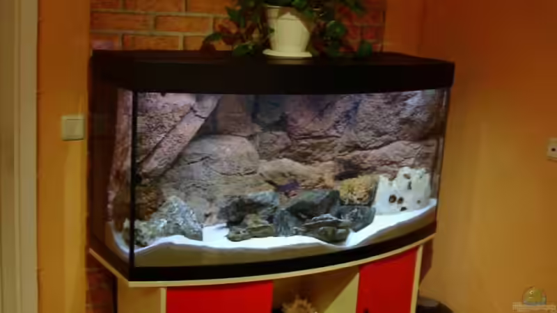 Jetzt! von Vladi (5)