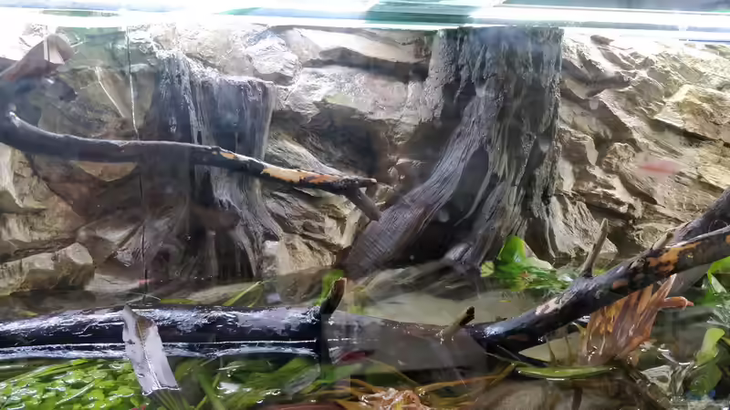 jetzt wir aufgefüllt von Woidma (35)