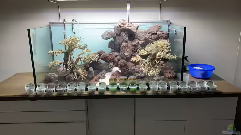 Jetzt wird bepflanzt  von Matze3110 (2)