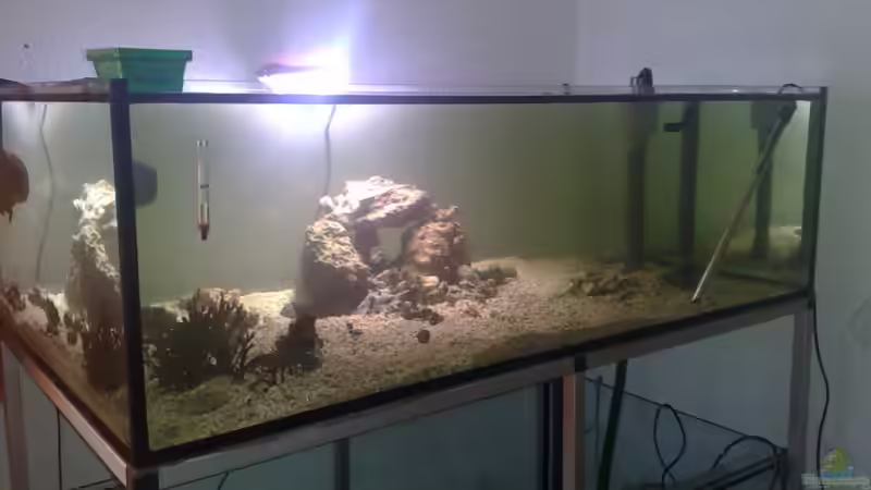 jetzt wird eingefahren :-) von Spongebob (3)