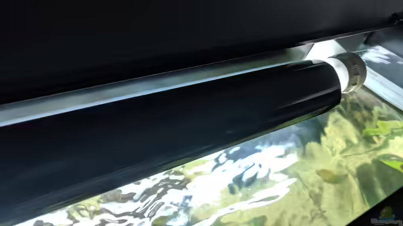 Jeweils zwei Röhren mit Reflektoren - insgesamt 3200 Lumen im Becken von Ameisenalex (50)