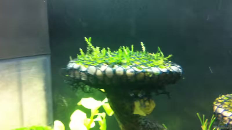 JM Woche 1 von RoZan (16)