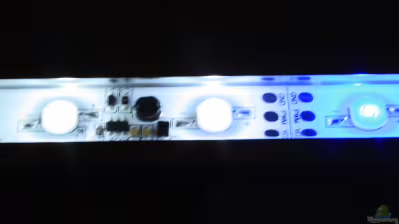 JMB AQUALIGHT - Ein Teilstück im Bild in kaltweiss und blauen LEDs von Florian Bandhauer (37)