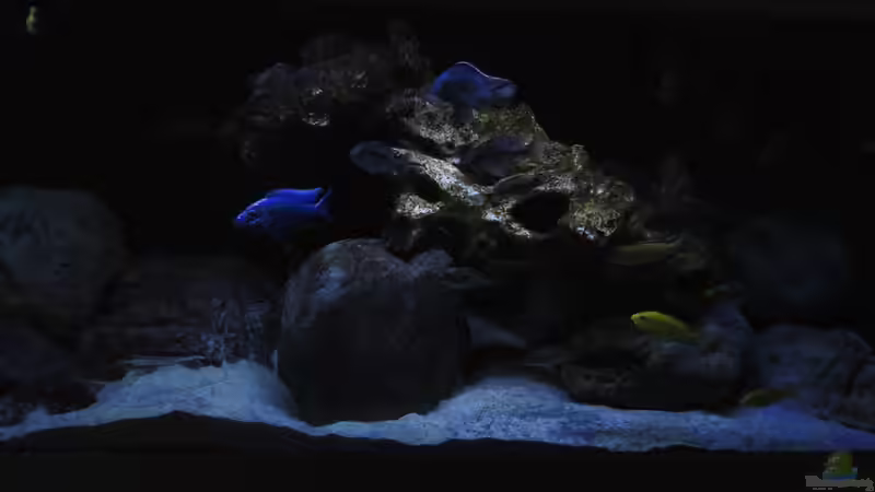 JMB Aqualigt bei 20% von Steffen G (11)