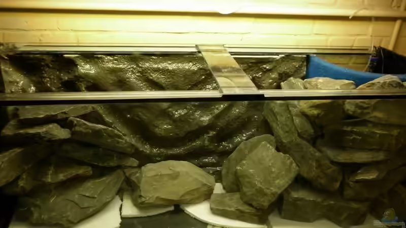 Joar net schlecht :-D von Julien Preuß (35)