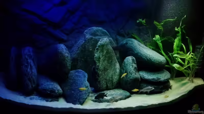 Jugendbecken in der Totalen  von René_Bln (1)