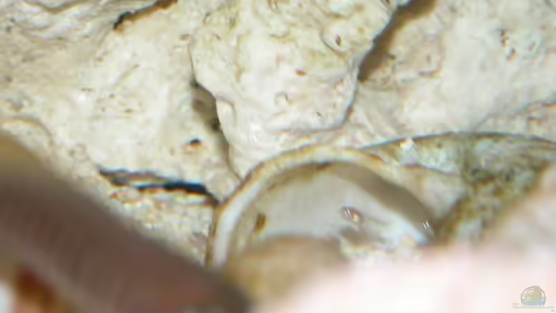 juhu....... von Bastian Burger (19)