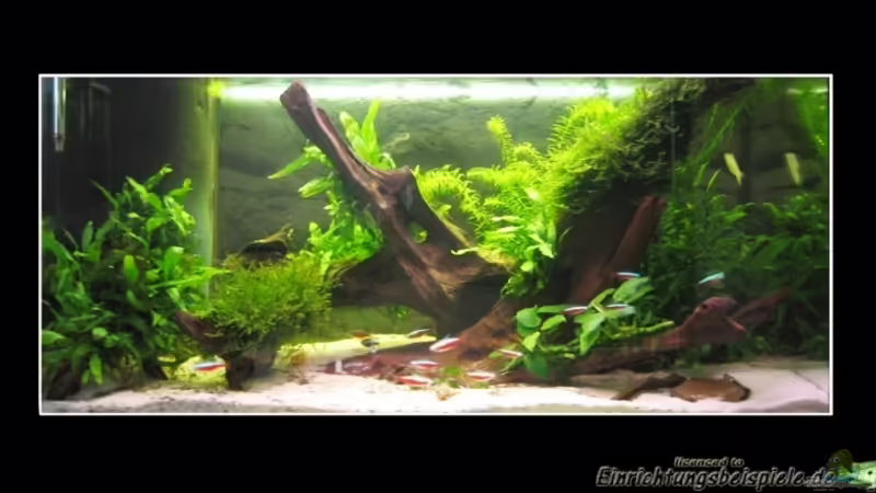 Juli 08 von Christiane Feldmann (9)