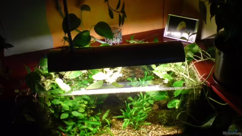 Juli 2009 von timme (11)